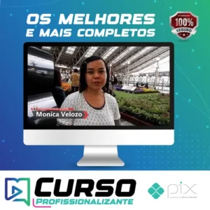 Japonês Básico: Escreva em Japonês - Monica Velozo