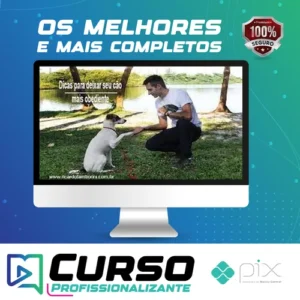 Desafio Cão Obediente - Marcelo Bessa