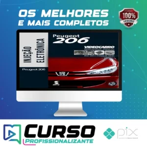 Injeção Eletrônica: Peugeot 206 - VideoCarro