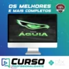 Águia de Opções Binárias - Wellington Geronimo