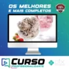 Sorvetes Artesanais para Seu Negócio - Eduk