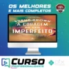 A Coragem de Ser Imperfeito - Brene Brown