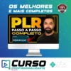 Aprenda Passo a Passo como Lucrar com Produtos PLR - Noemi Nakandakari