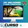 Direito Constitucional - Brasil Paralelo