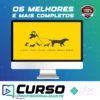 Curso para Walkers Go Dog - Bruno Gavina